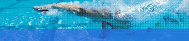 Wiltshire Council, Leisure Services